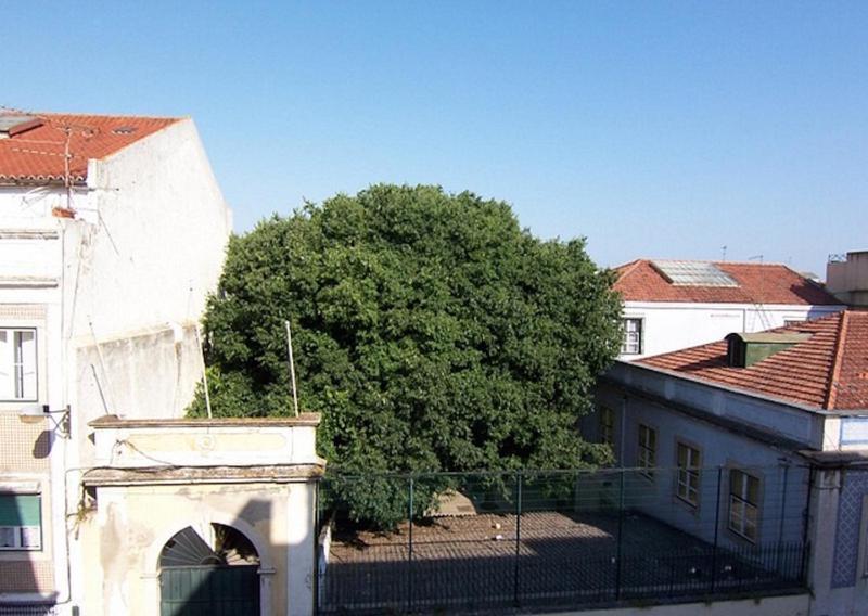 Bela Vista - Lissabon Altstadt Luaran gambar